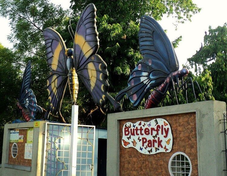 Kankaria Butterfly Park